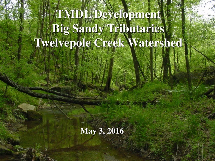 tmdl development big sandy tributaries twelvepole