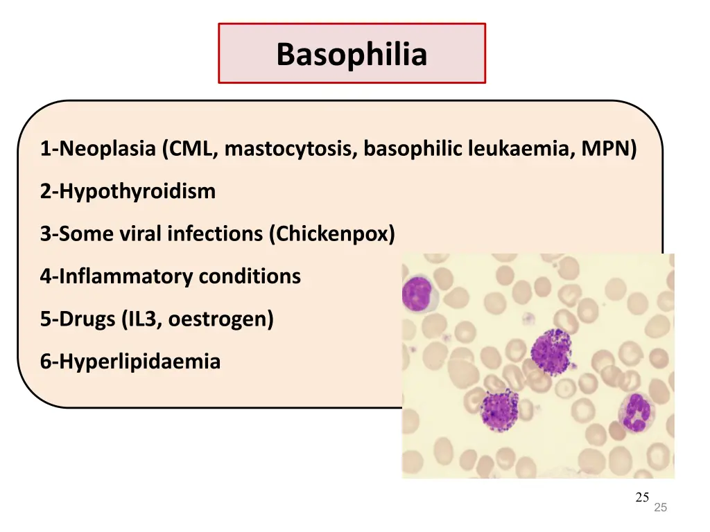 basophilia