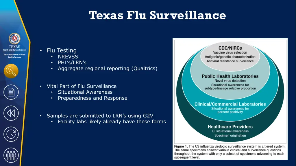 texas flu surveillance 1