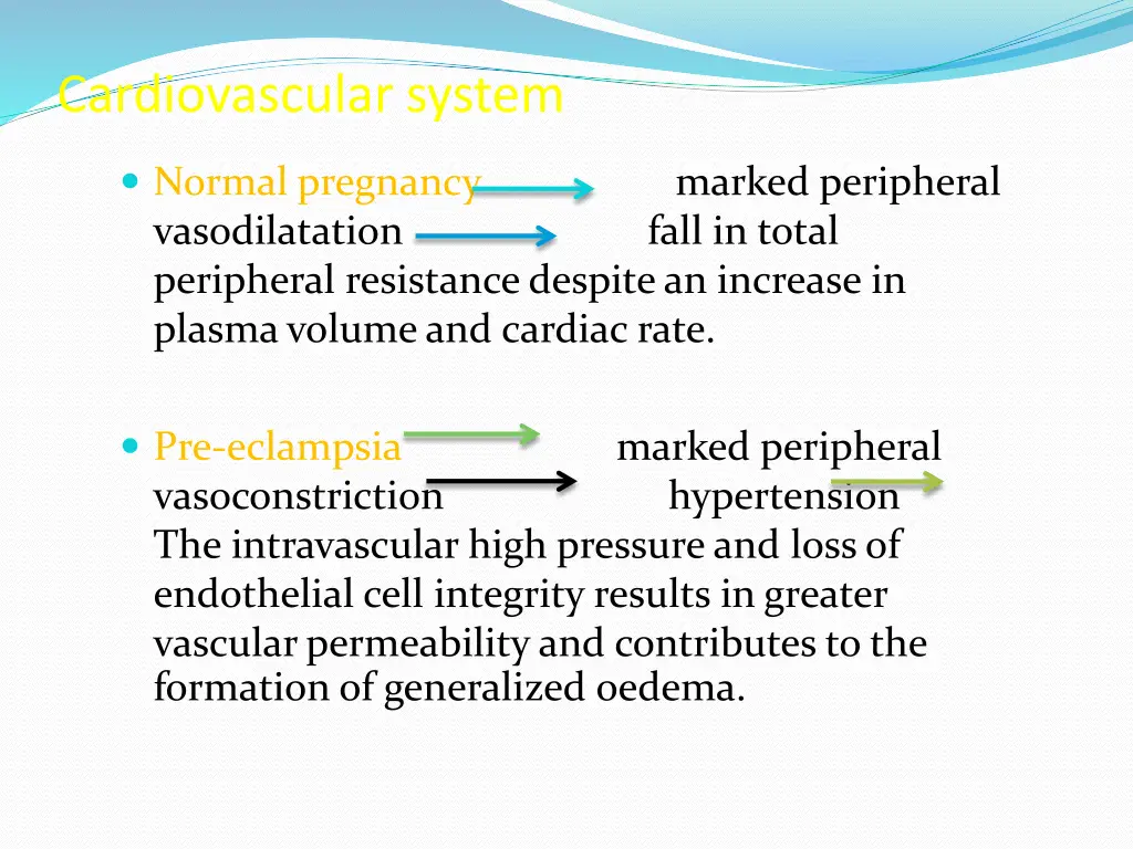 cardiovascular system