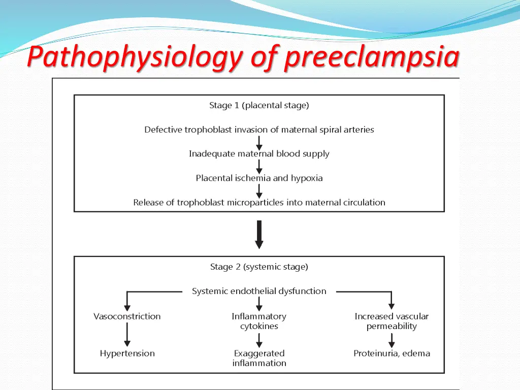 pathophysiology of preeclampsia