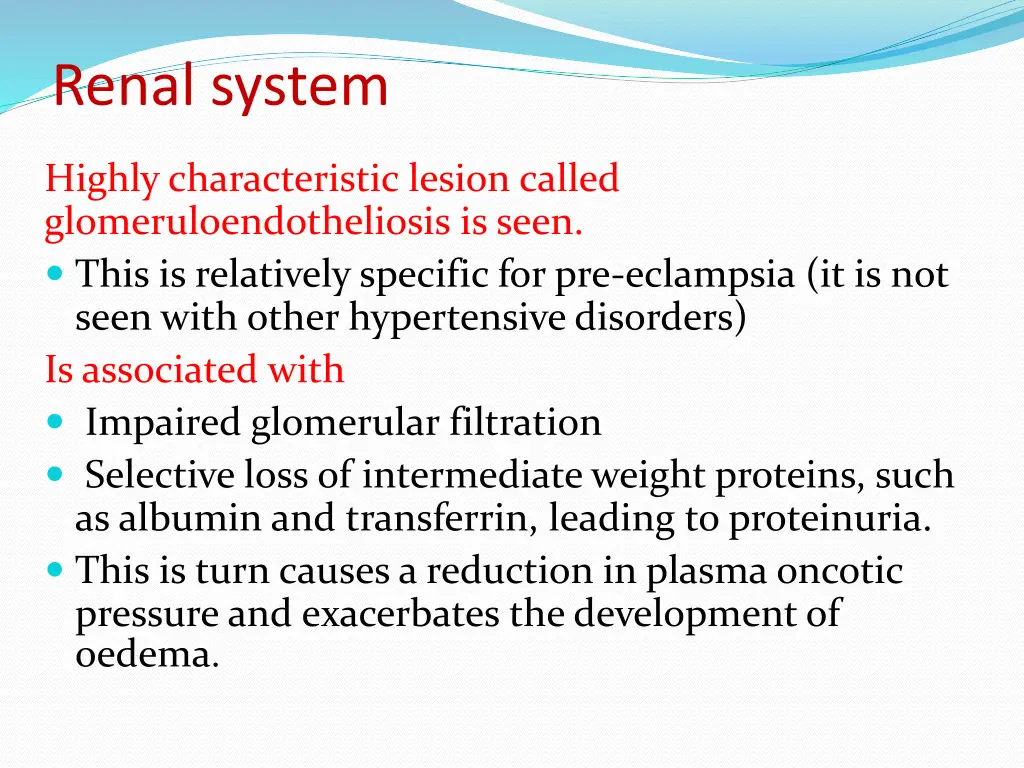 renal system