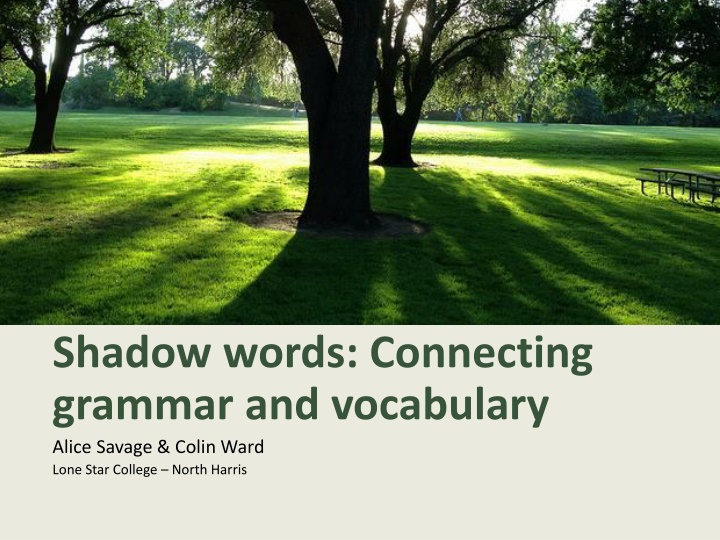 shadow words connecting grammar and vocabulary