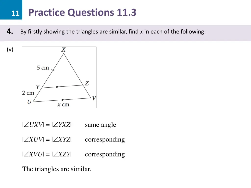 11 practice questions 11 3 23