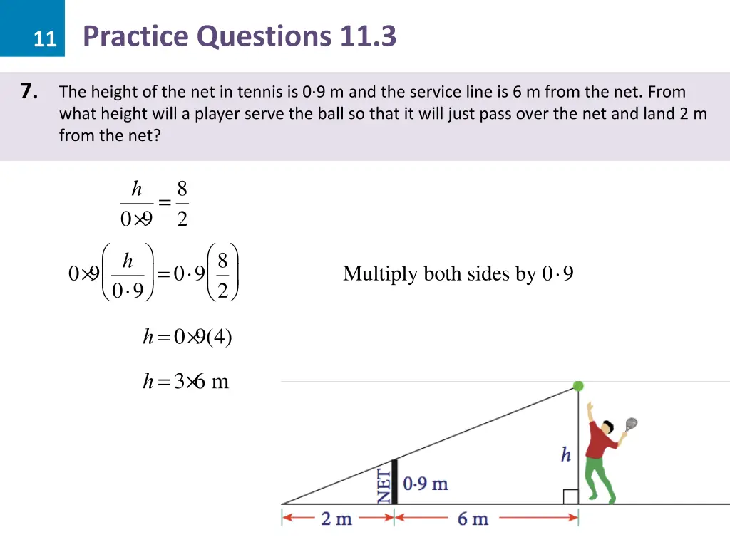 11 practice questions 11 3 28