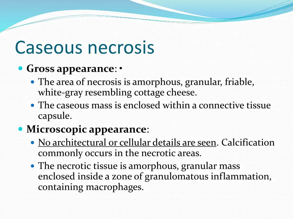 caseous necrosis gross appearance the area