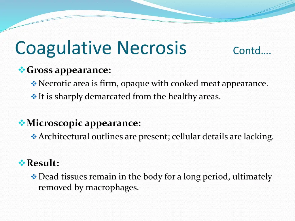 coagulative necrosis contd