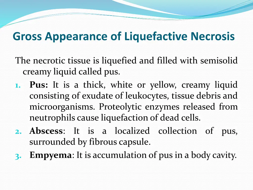 gross appearance of liquefactive necrosis