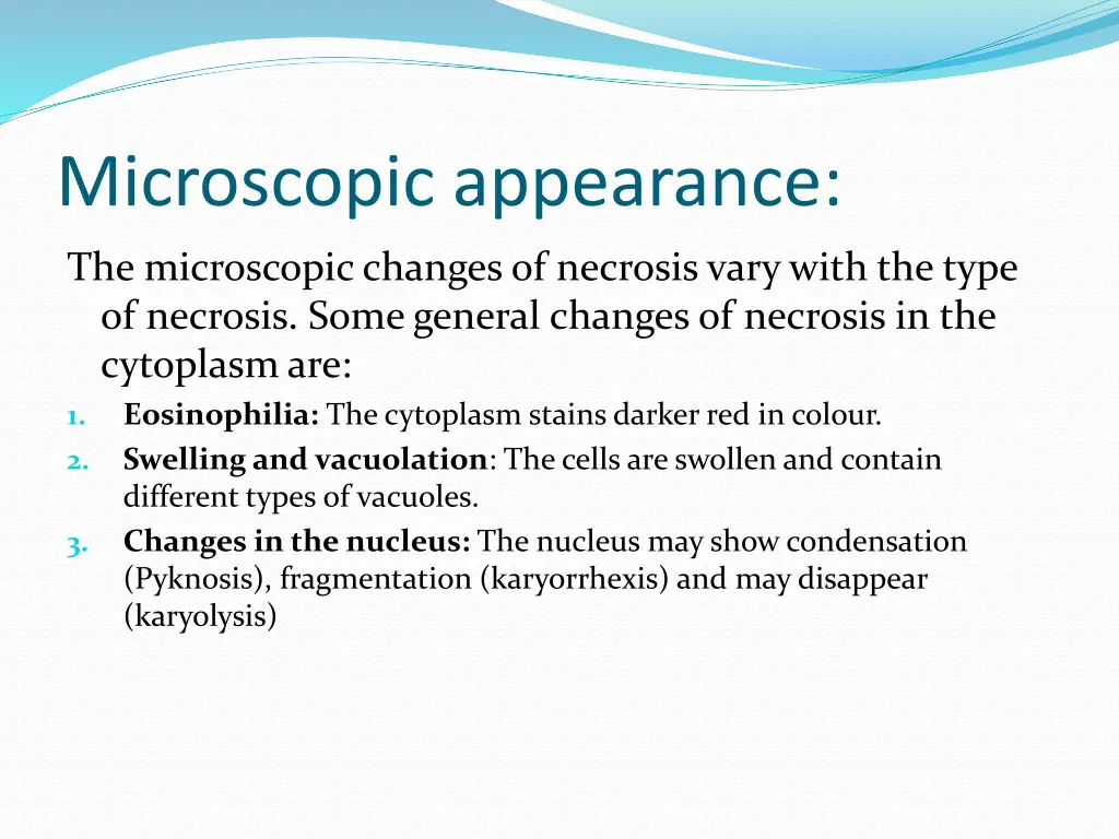 microscopic appearance