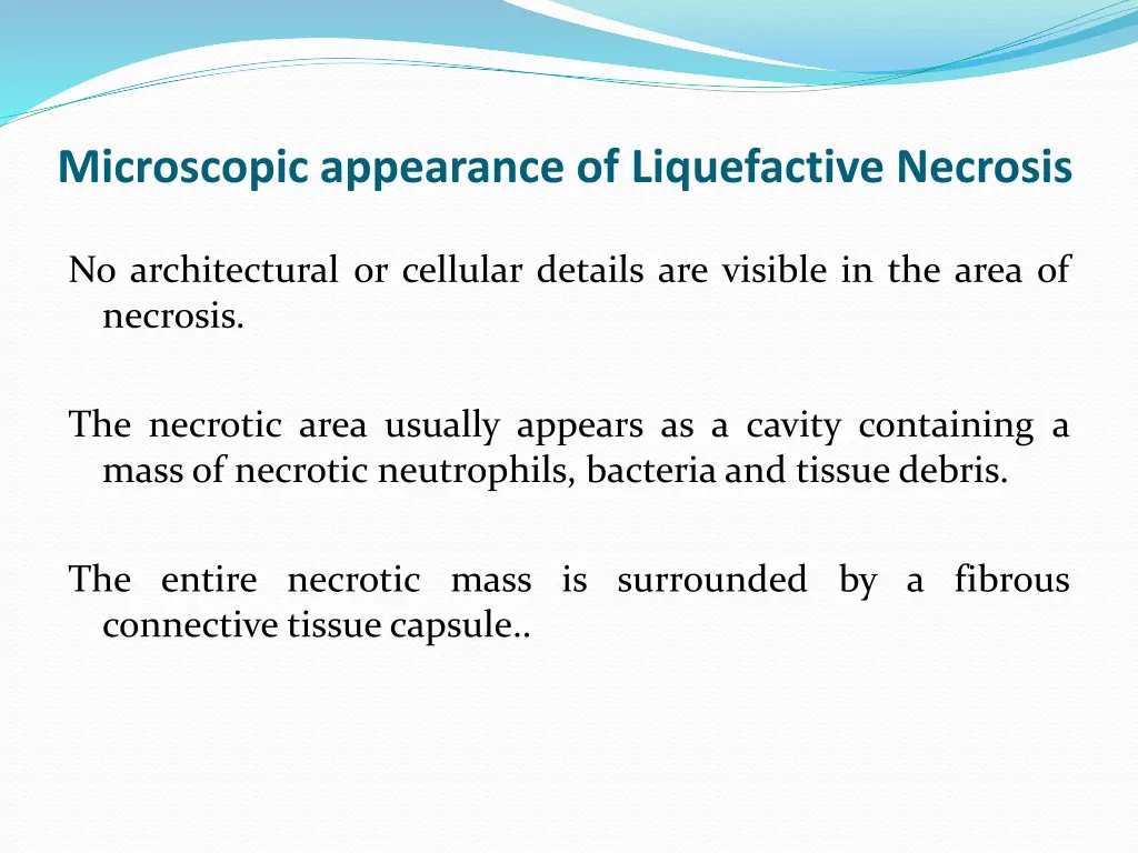 microscopic appearance of liquefactive necrosis