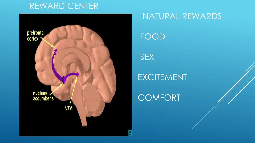 reward center natural rewards