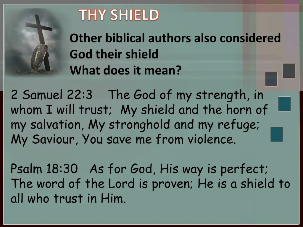 thy shield 2