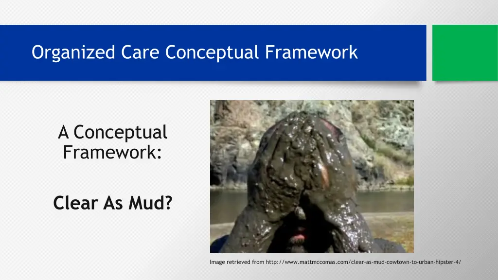 organized care conceptual framework