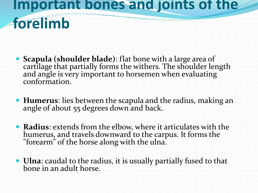 important bones and joints of the forelimb