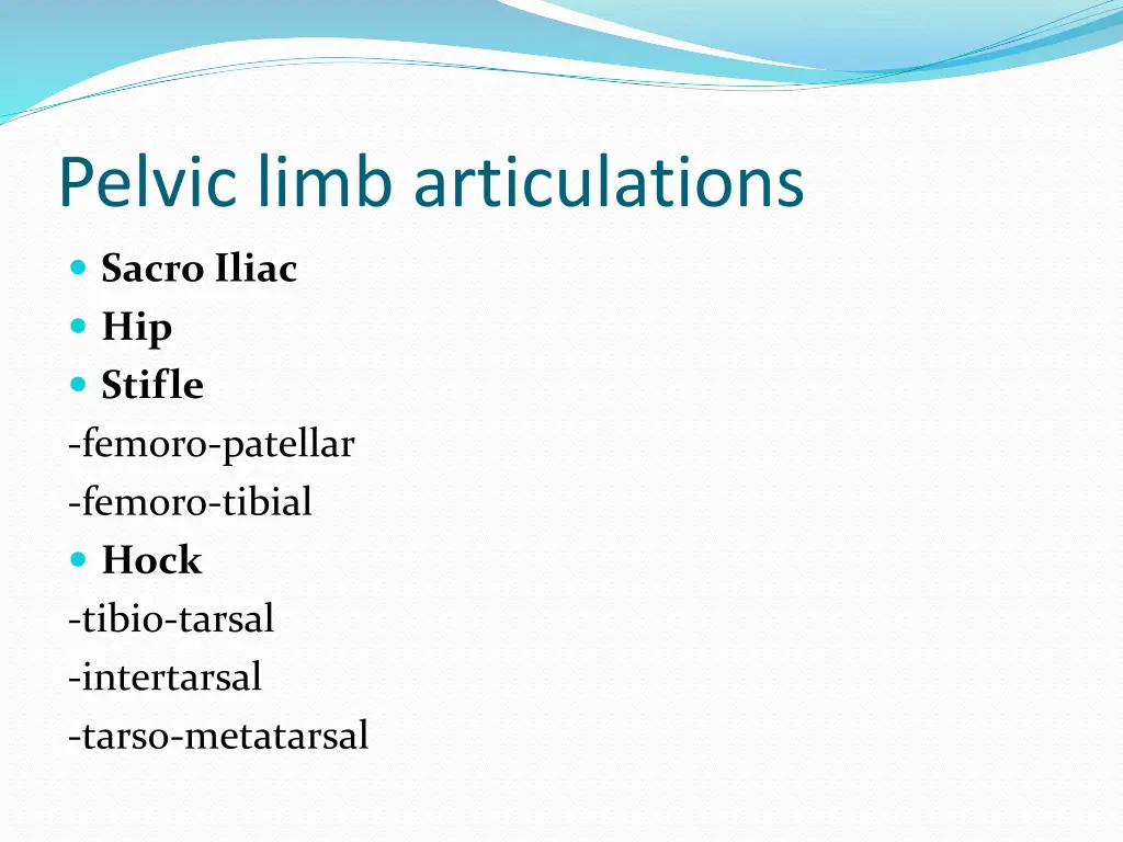 pelvic limb articulations