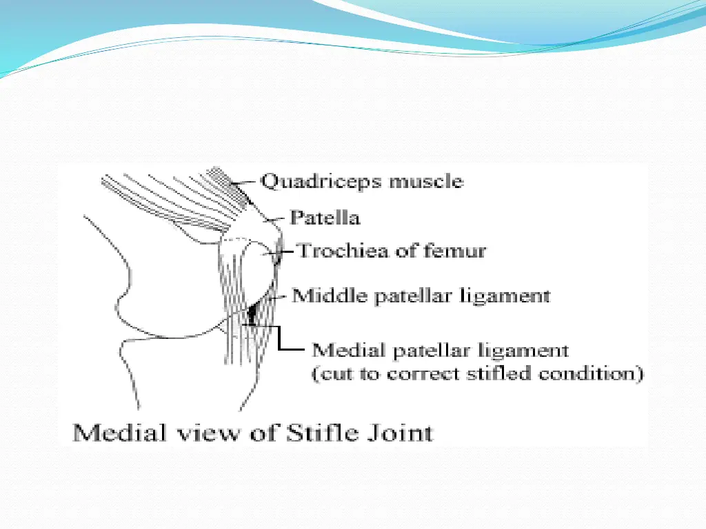 slide13