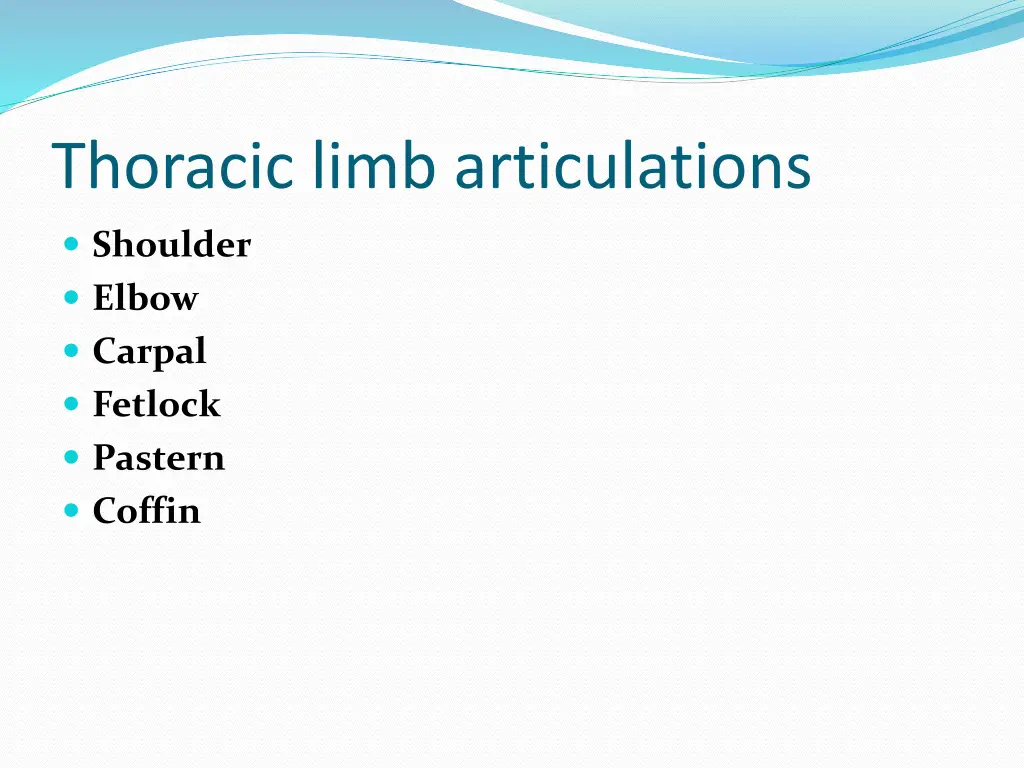 thoracic limb articulations