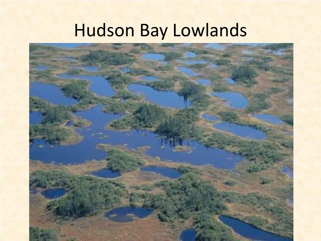 hudson bay lowlands