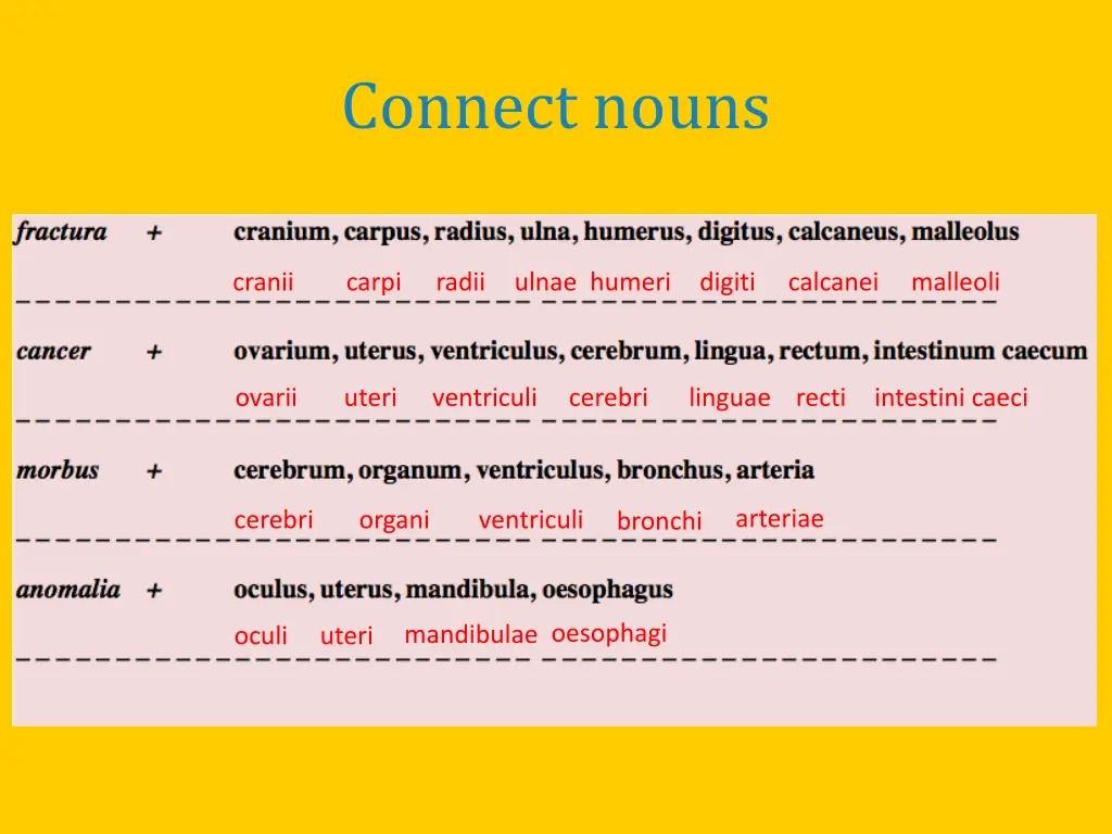 connect nouns