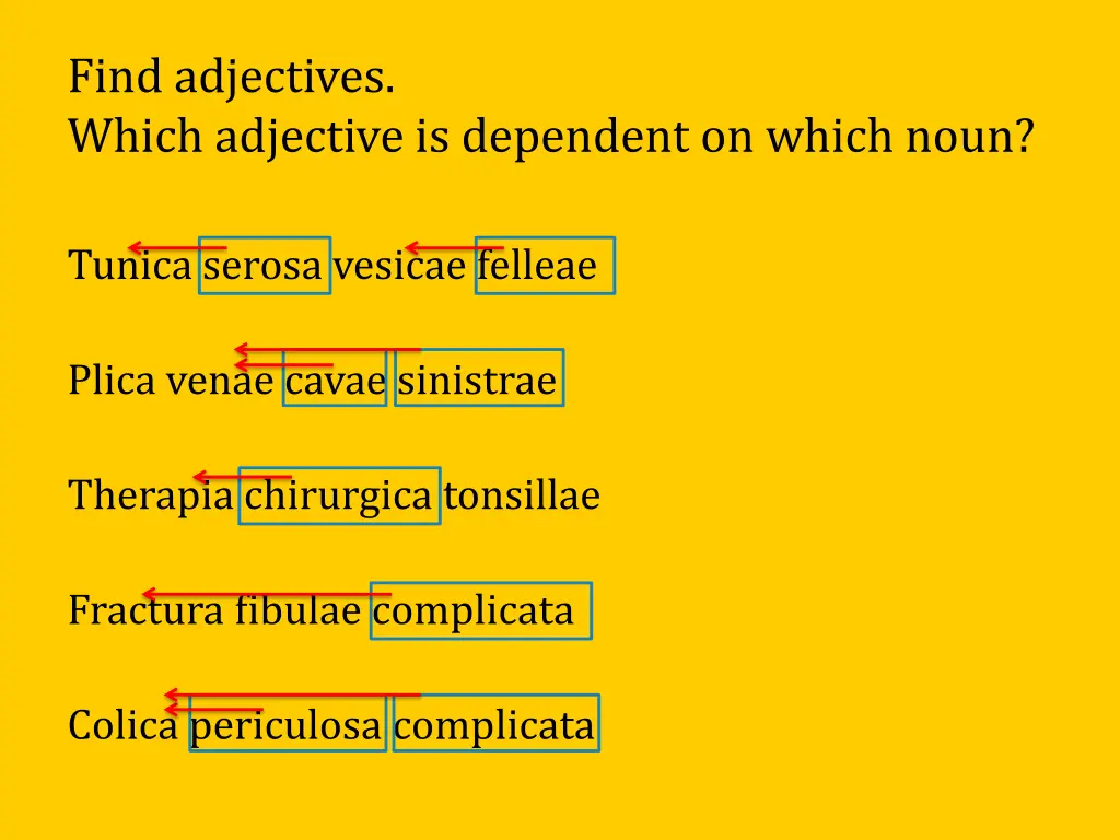 find adjectives which adjective is dependent