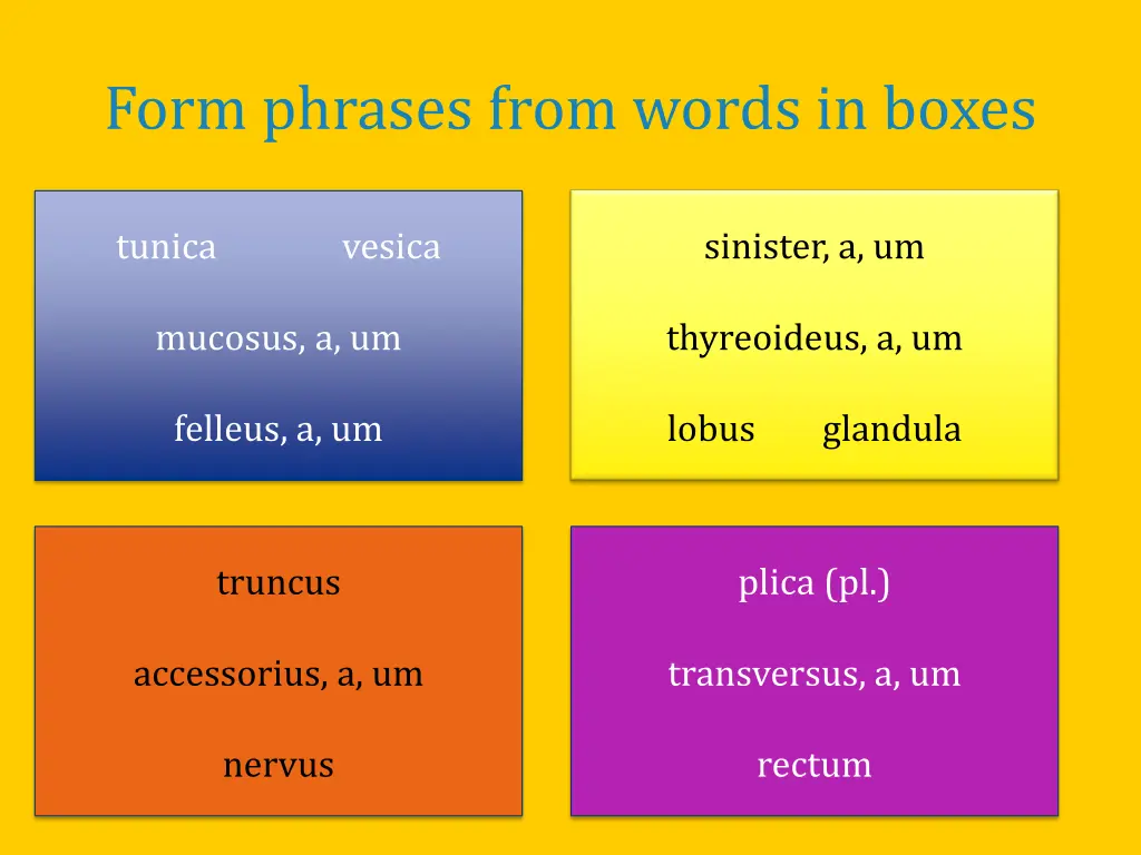 form phrases from words in boxes 1