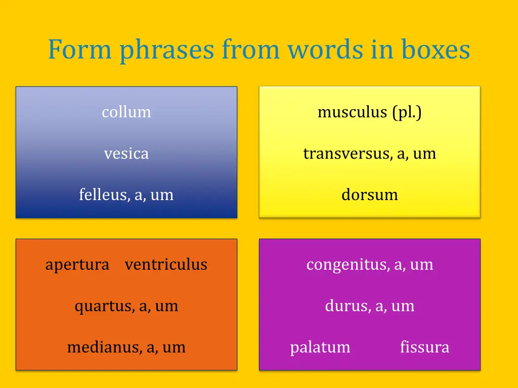 form phrases from words in boxes 2