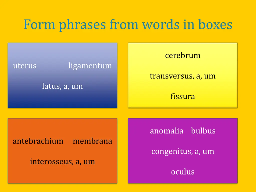 form phrases from words in boxes