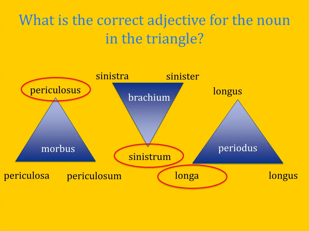 what is the correct adjective for the noun 2