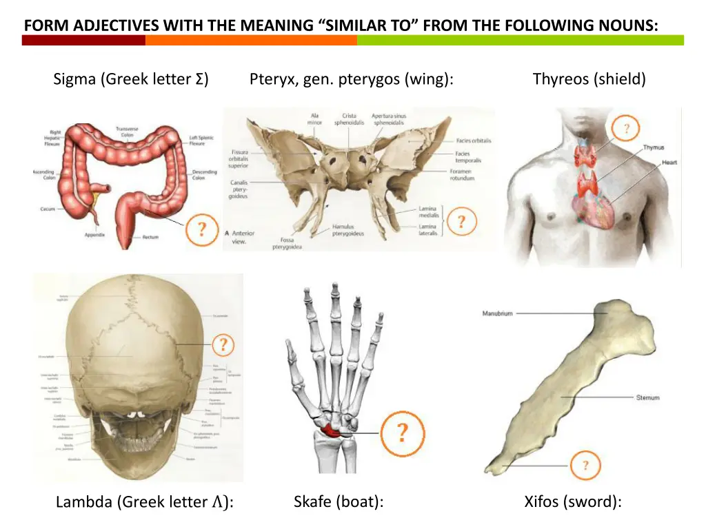 form adjectives with the meaning similar to from