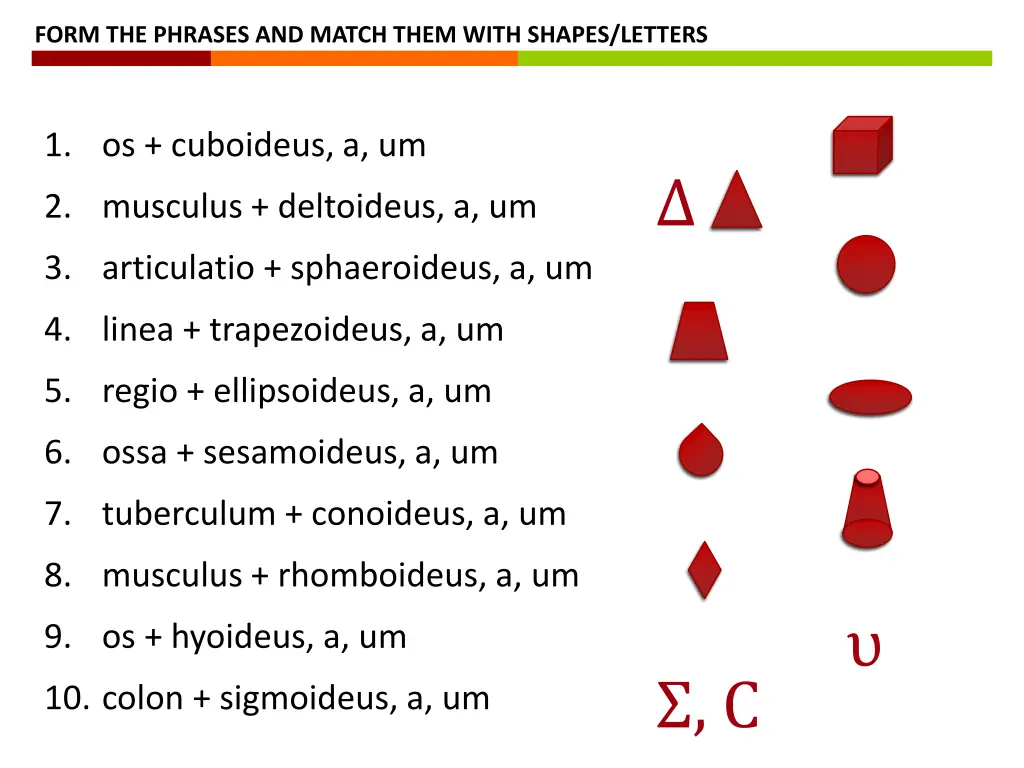 form the phrases and match them with shapes