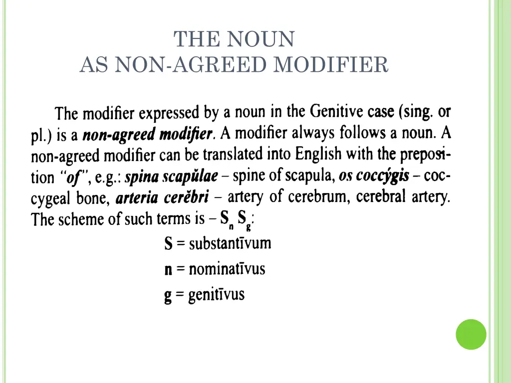 the noun