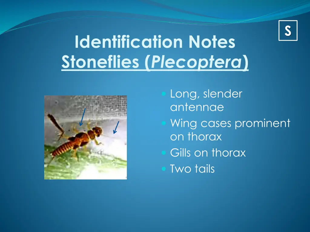 slide11