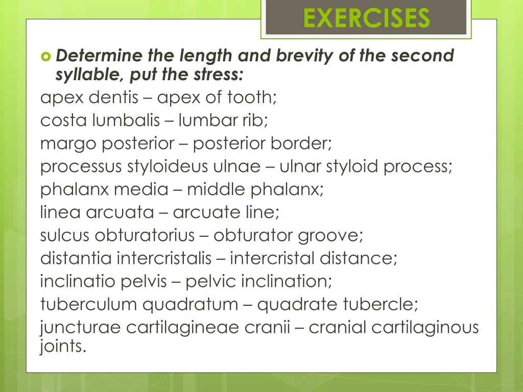 exercises 6