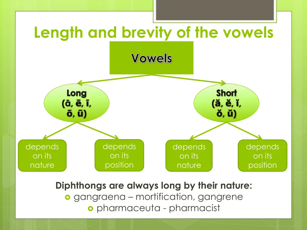 length and brevity of the vowels