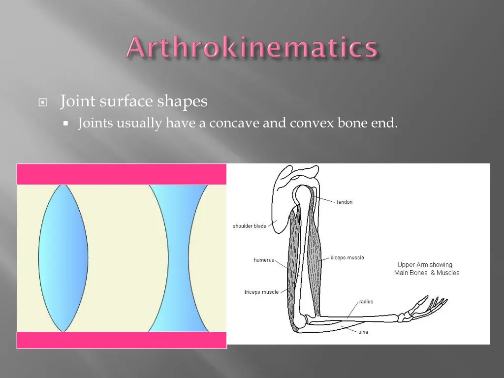 joint surface shapes joints usually have