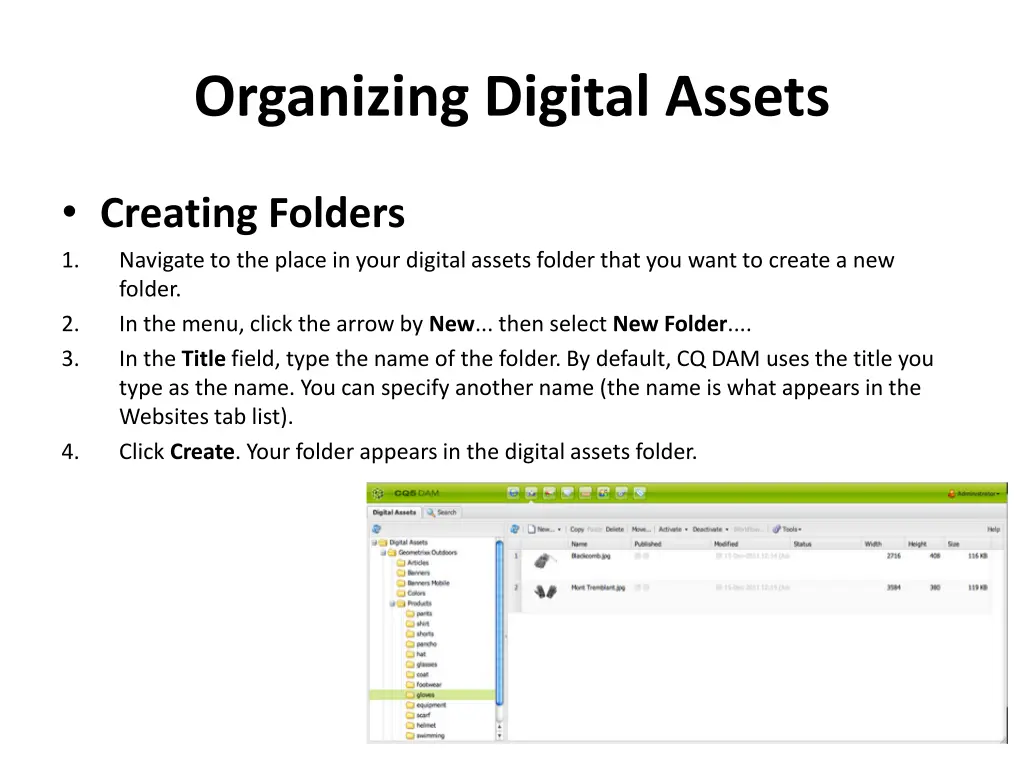 organizing digital assets