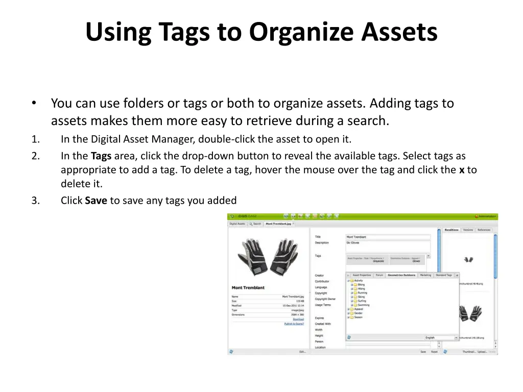 using tags to organize assets