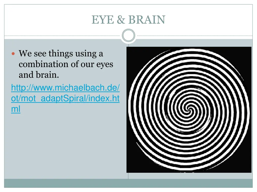 eye brain