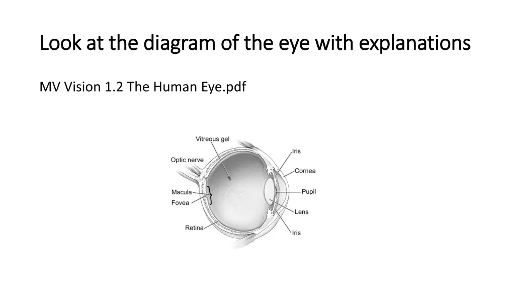 look at the diagram of the eye with explanations