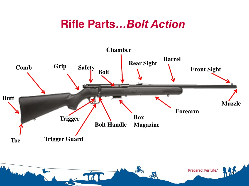 rifle parts bolt action