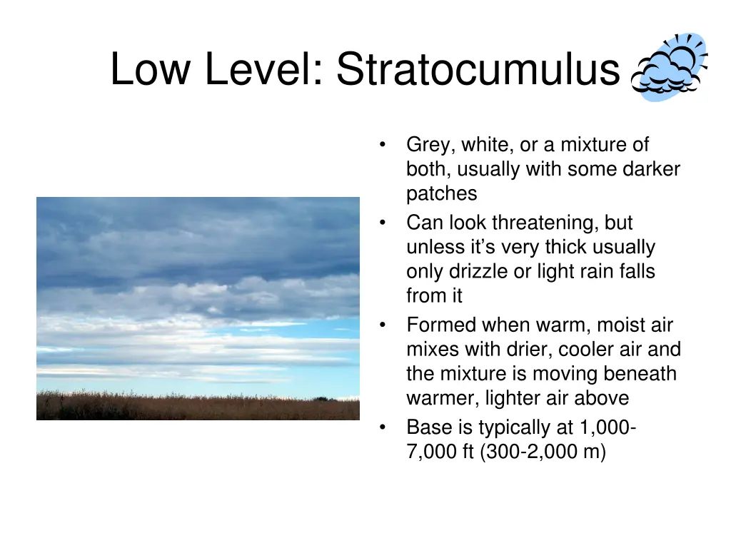 low level stratocumulus