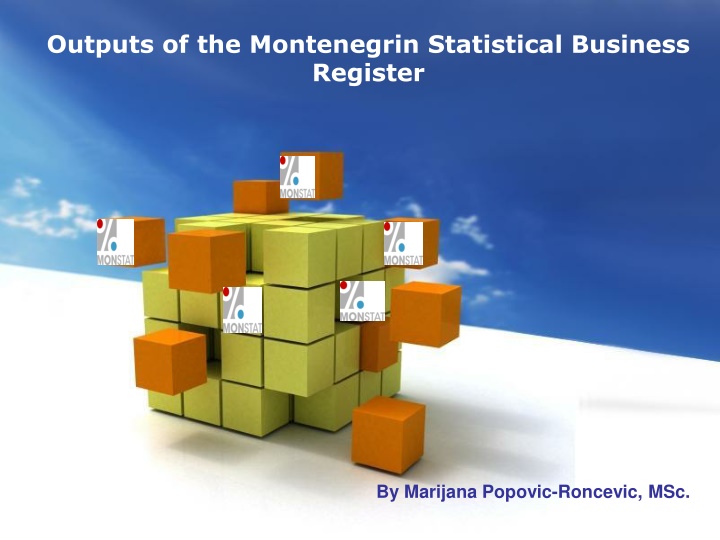 outputs of the montenegrin statistical business