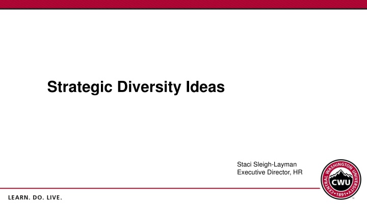 strategic diversity ideas