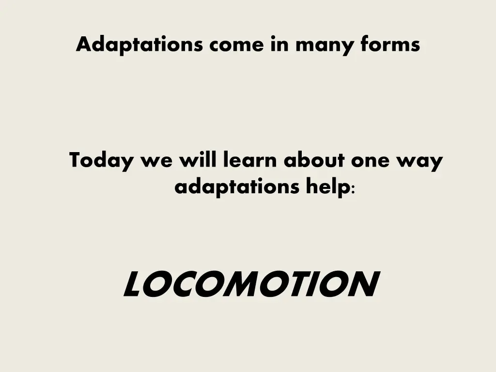 adaptations come in many forms