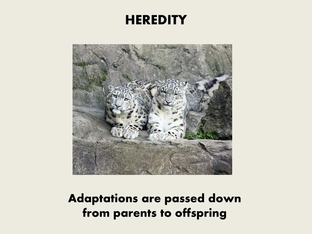 heredity