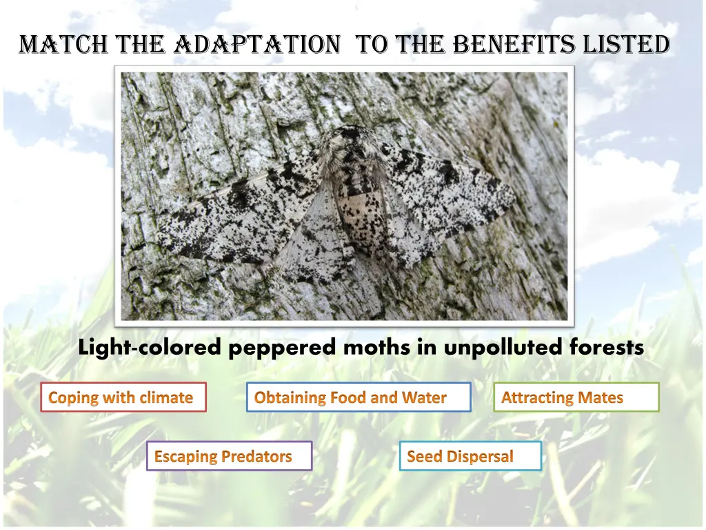 match the adaptation to the benefits listed 6