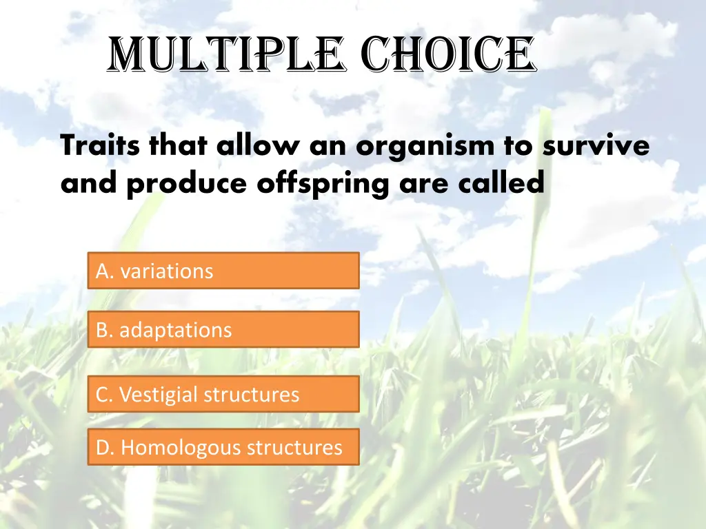 multiple choice 1