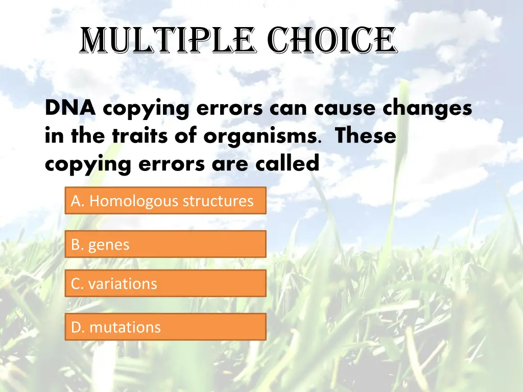 multiple choice 4