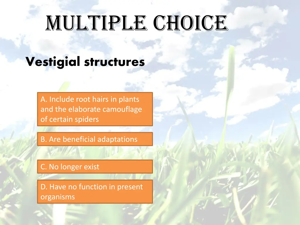 multiple choice 5