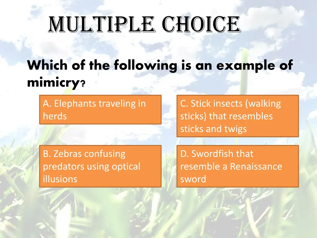 multiple choice 9